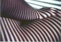 /album/metamorfose/foto-j-jpg/